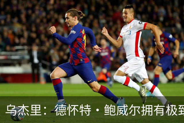 乌杰里：德怀特·鲍威尔拥有极致的专业素养 达拉斯永远是他的家