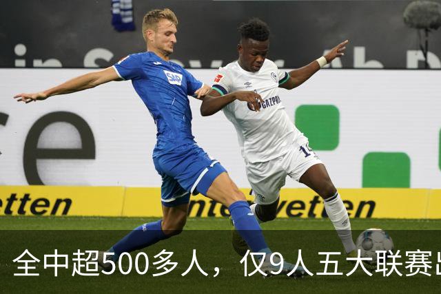 全中超500多人，仅9人五大联赛出场超20次，武磊进球最多，第1出场167次