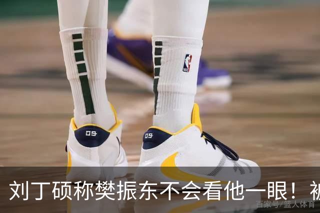刘丁硕称樊振东不会看他一眼！被质疑以德报怨：2次公开落井下石