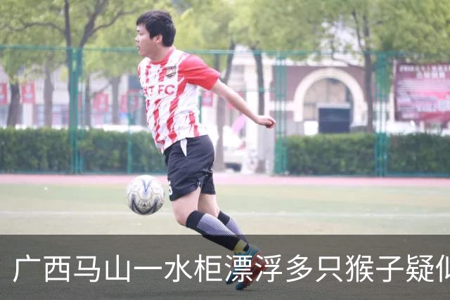 广西马山一水柜漂浮多只猴子疑似淹死，这个水柜设计是否有问题？露天储水设备一般如何防止动物污染？