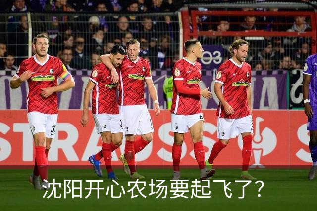 沈阳开心农场要起飞了？