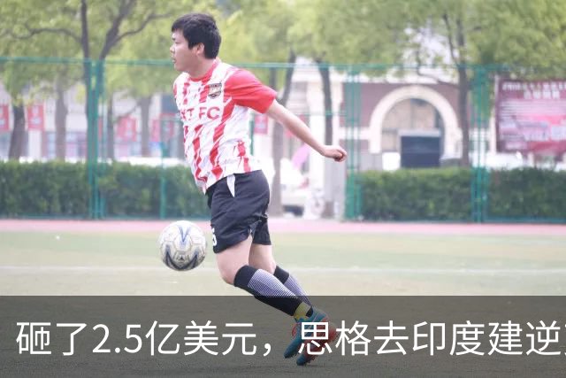 砸了2.5亿美元，思格去印度建逆变器储能厂，要给自己留足后路与筹码