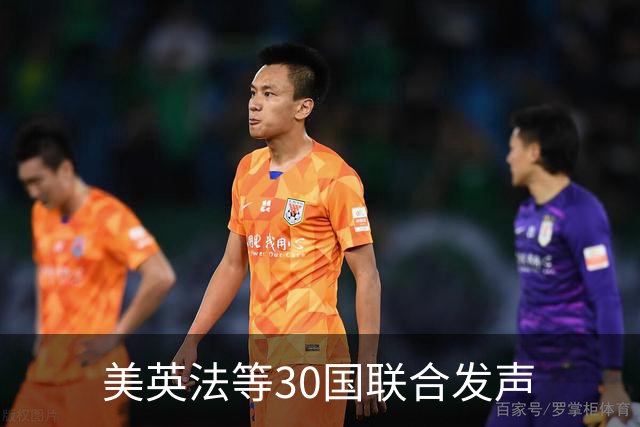 美英法等30国联合发声