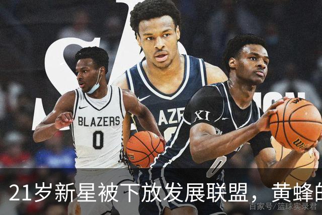 21岁新星被下放发展联盟，黄蜂的等待进入下一阶段